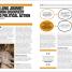 The Ecology Book - thumbnail of spread image 9 Thumbnail image of The Ecology Book - 9