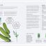 The Science of Fermentation - thumbnail of spread image 4 Thumbnail image of The Science of Fermentation - 4