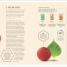 The Science of Fermentation - thumbnail of spread image 5 Thumbnail image of The Science of Fermentation - 5