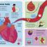 Yo y mi cuerpo (You and Your Body) - thumbnail of spread image 1 Thumbnail image of Yo y mi cuerpo (You and Your Body) - 1