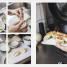 Japanese Comfort Food - thumbnail of spread image 6 Thumbnail image of Japanese Comfort Food - 6