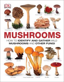Mushrooms