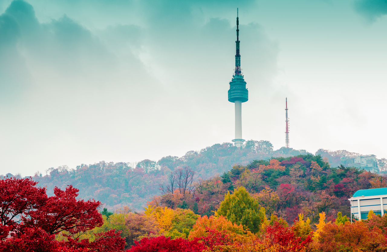 Why November is the best time to go to Seoul DK UK