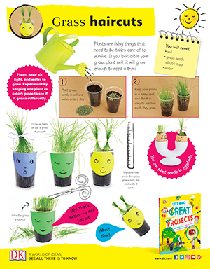 Environment Projects Pdf For Students