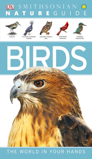 Nature Guide: Birds