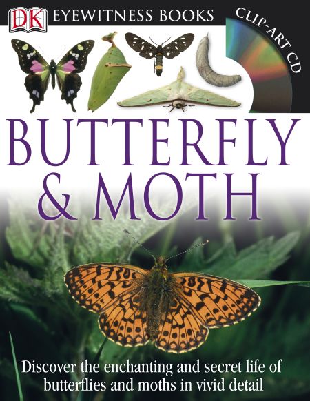 DK Eyewitness Books: Butterfly and Moth