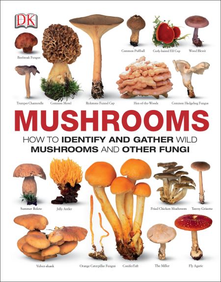 Mushrooms