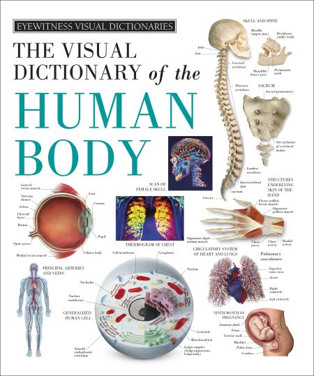 Eyewitness Visual Dictionaries: The Visual Dictionary of the Human Body