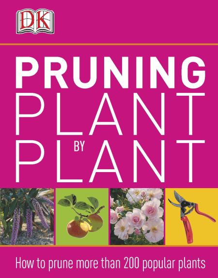 Pruning Plant by Plant