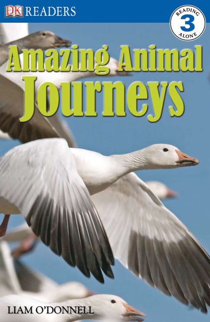 DK Readers L3: Amazing Animal Journeys