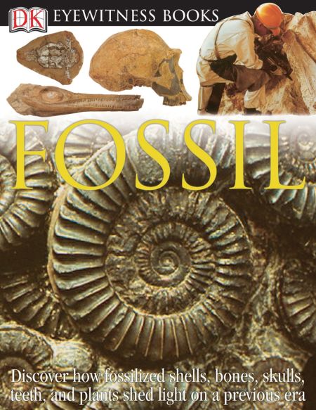 DK Eyewitness Books: Fossil