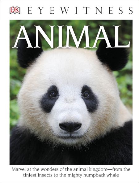 DK Eyewitness Books: Animal