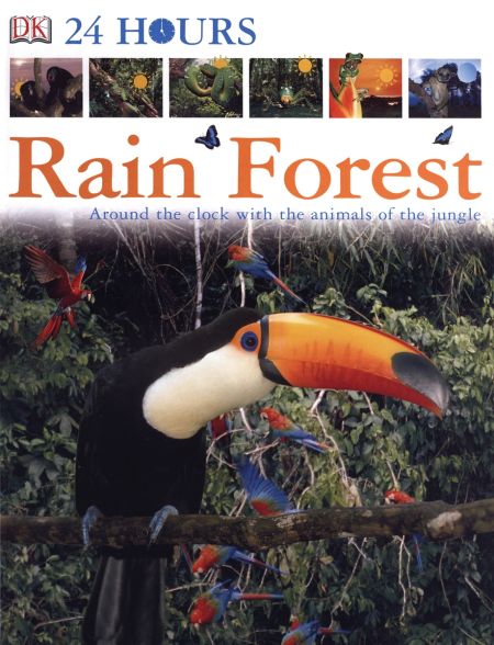 DK 24 Hours: Rain Forest