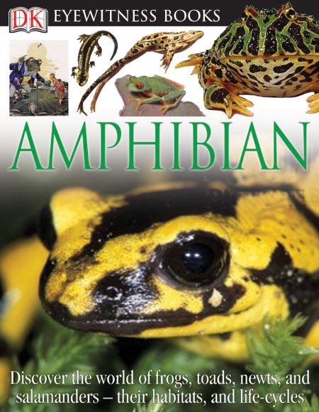 DK Eyewitness Books: Amphibian