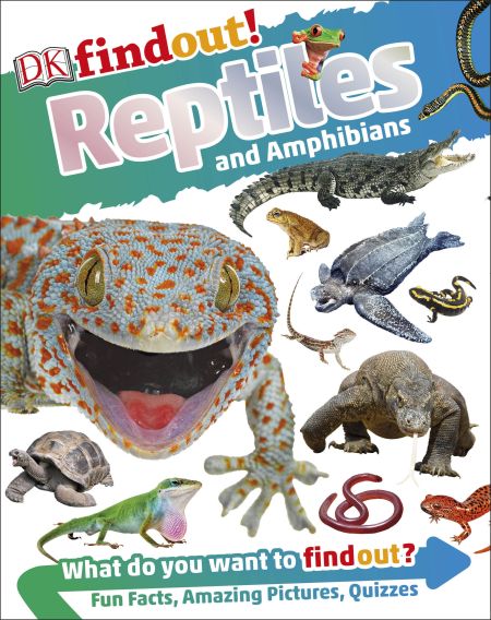 DK findout! Reptiles and Amphibians