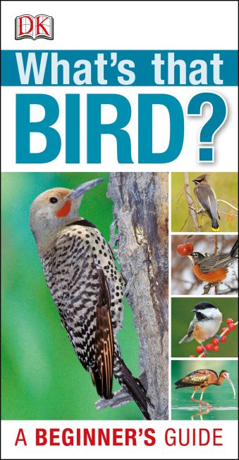 What's that Bird?