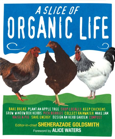 Slice of Organic Life