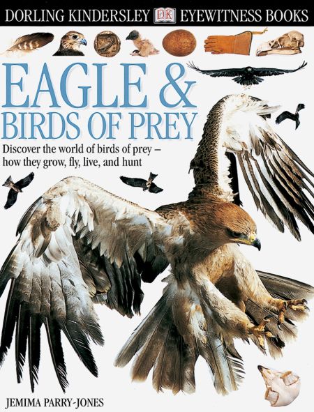 birds of prey book