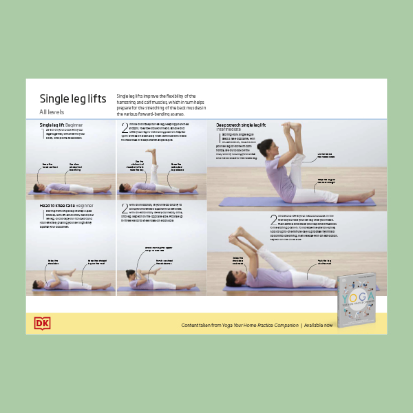 Yoga Single Leg Lifts pdf