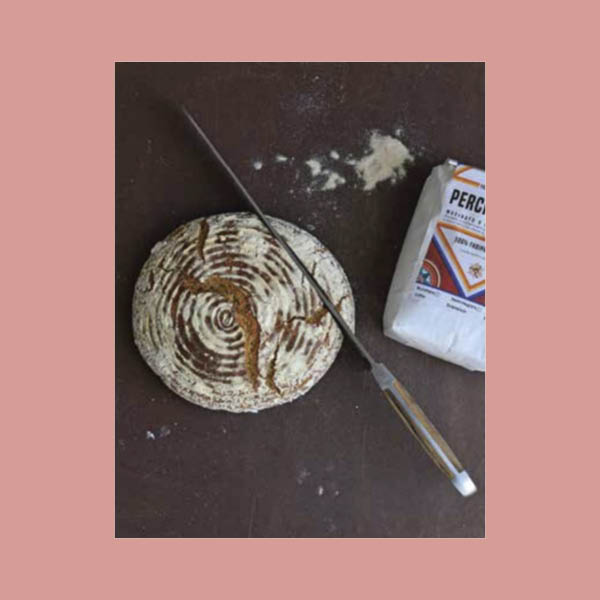 Delicious Sourdough Bread Recipe: The Sicily Cookbook pdf