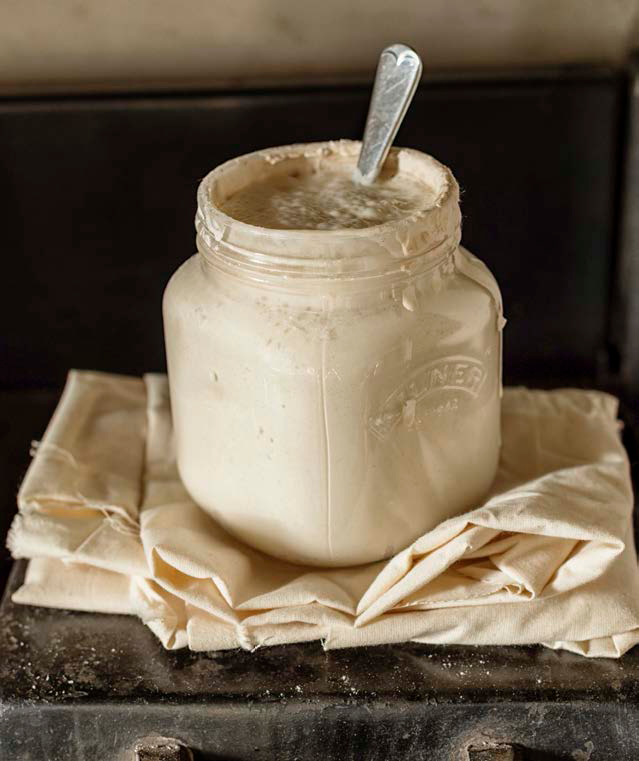 Image of sourdough starter.