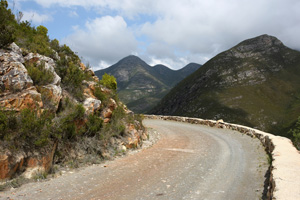 South Africa - Forest Passes of the Garden Route gpx download