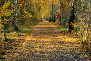 Germany -	Berlin Wall Trail gpx download