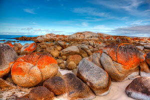 Australia - Bay of Fires Trail gpx download