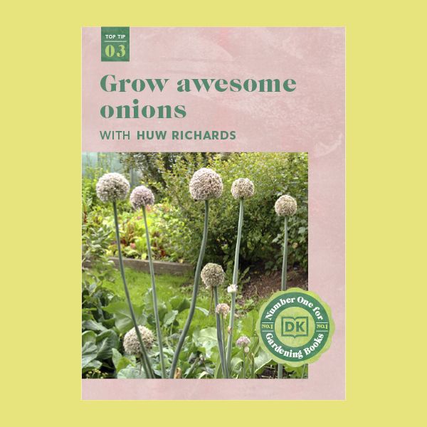 Grow Awesome Onions pdf