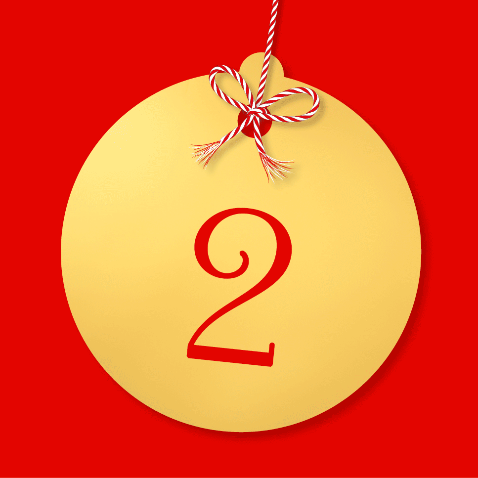 DK Festive Countdown Advent Calendar 2024 - Day 2