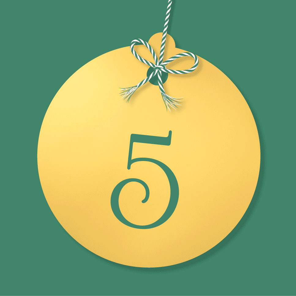 DK Festive Countdown Advent Calendar 2024 - Day 5