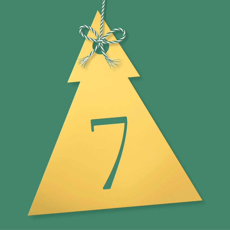 DK Festive Countdown Advent Calendar 2024 - Day 7