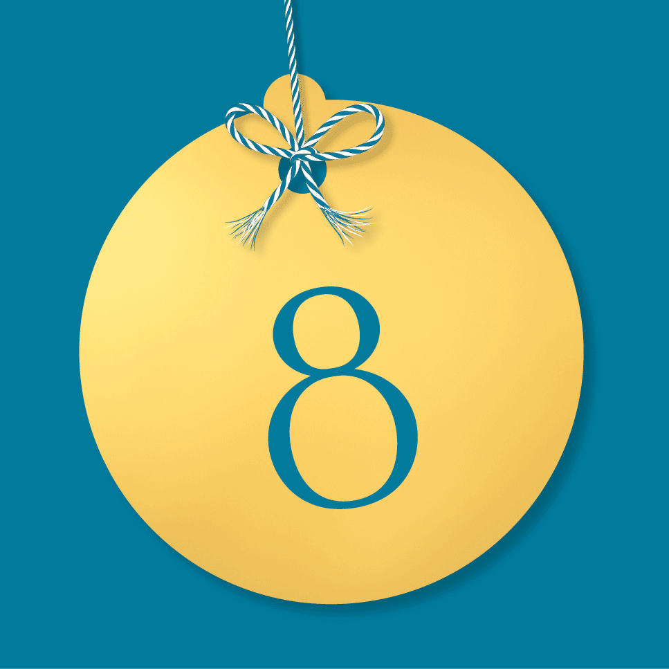 DK Festive Countdown Advent Calendar 2024 - Day 8