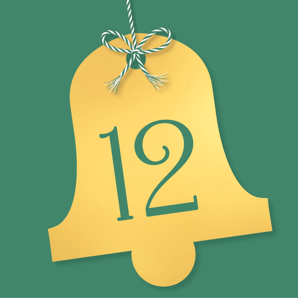 DK Festive Countdown Advent Calendar 2024 - Day 12