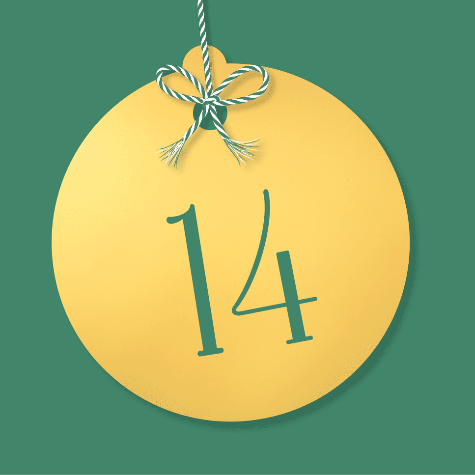 DK Festive Countdown Advent Calendar 2024 - Day 14