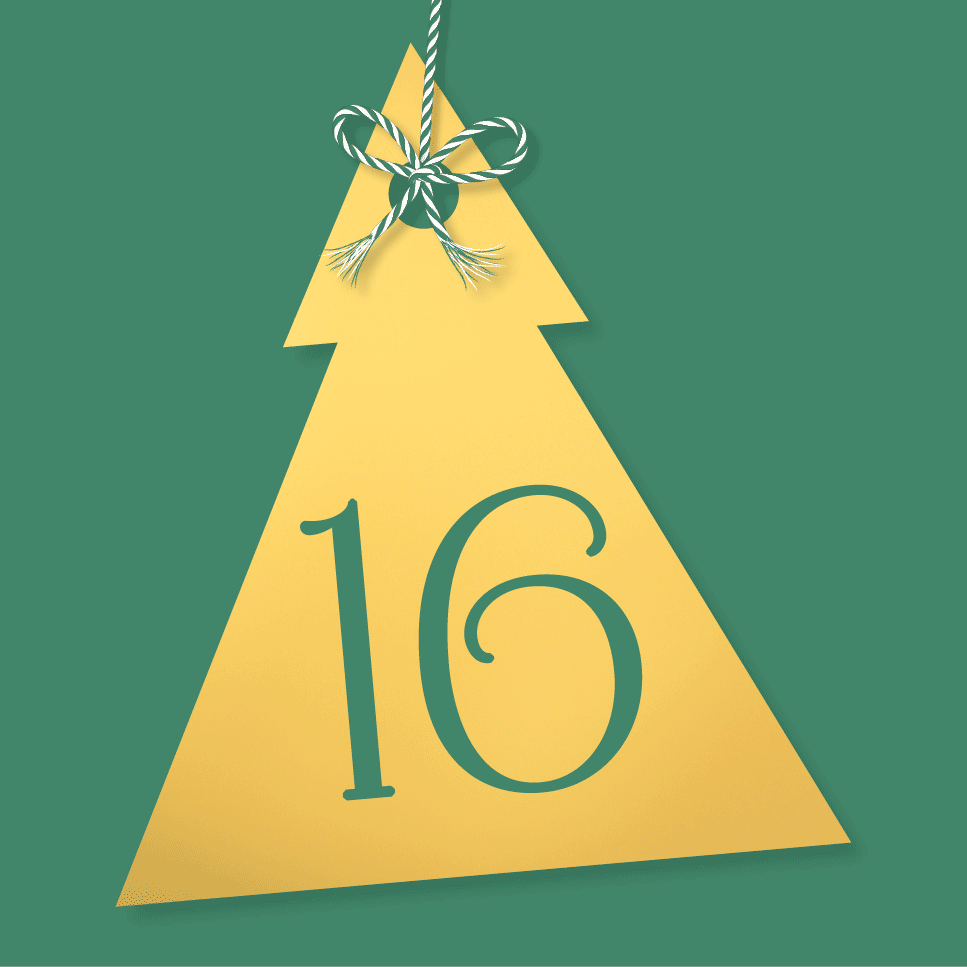 DK Festive Countdown Advent Calendar 2024 - Day 16