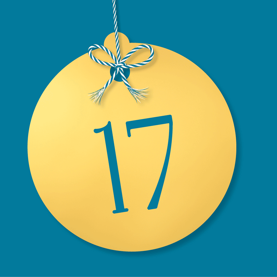 DK Festive Countdown Advent Calendar 2024 - Day 17