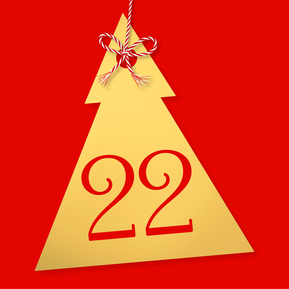 DK Festive Countdown Advent Calendar 2024 - Day 22
