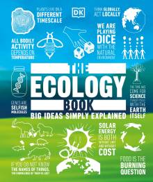 Uncategorised « Cultural Ecology