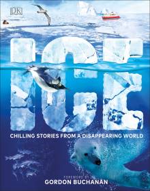 Ice Dk Uk