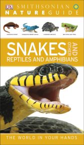 Nature Guide: Snakes and Other Reptiles and Amphibians
