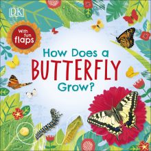 How Does a Butterfly Grow?