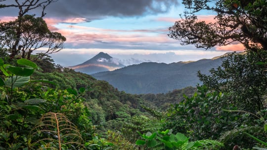 Why January is the best time to go to Costa Rica