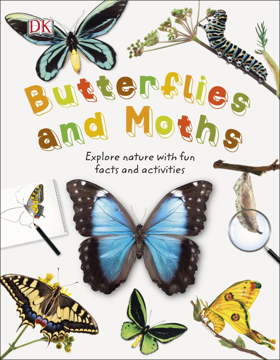 Butterflies and Moths DK US