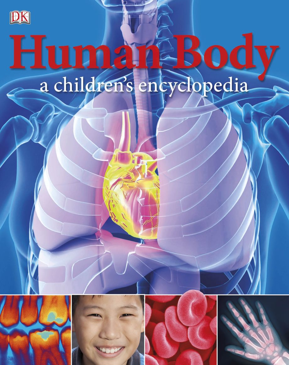 Human Body A Children's Encyclopedia DK UK