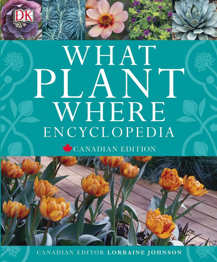 What Plant Where Encyclopedia DK CA What Plant Where Encyclopedia DK CA