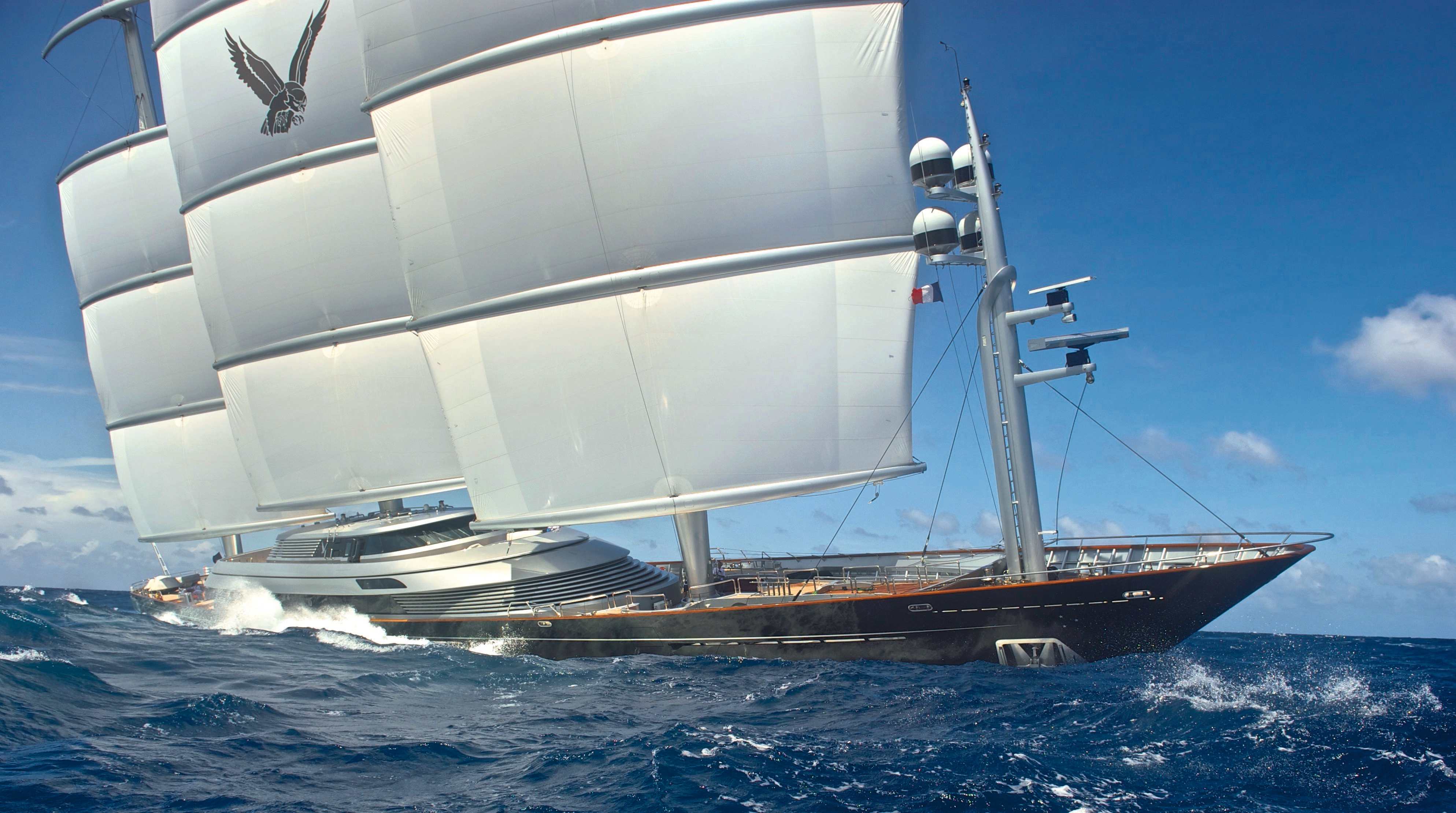 Maltese Falcon