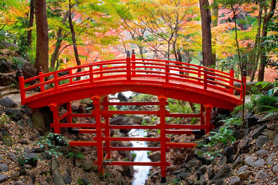 Japanese Garden Cherry Blossom Bridge tokyo's top 10 parks and gardens | dk eyewitness travel Japanese Garden Cherry Blossom Bridge tokyo's top 10 parks and gardens | dk eyewitness travel