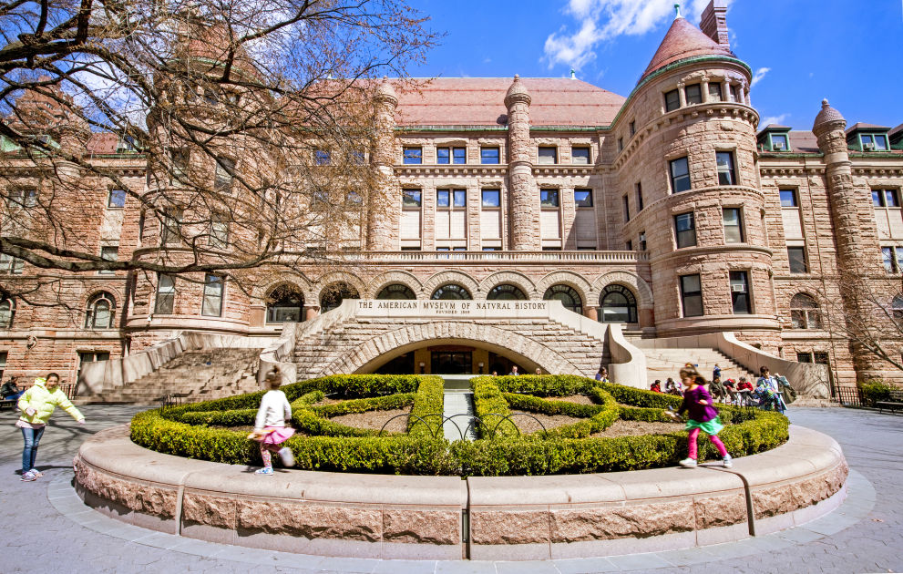 American Museum of Natural History | New York City | DK ...