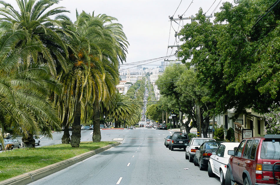 Dolores Street | San Francisco | DK Eyewitness Travel